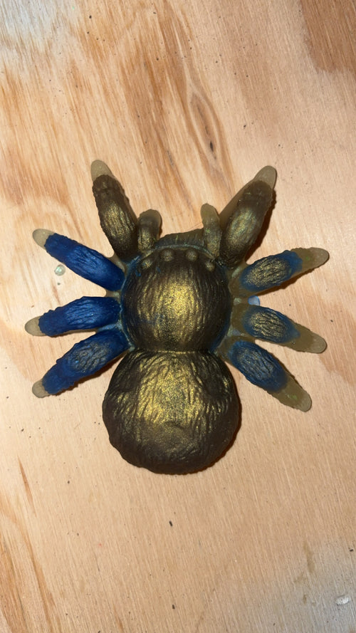 Arachne