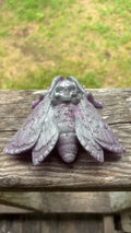 Moth
