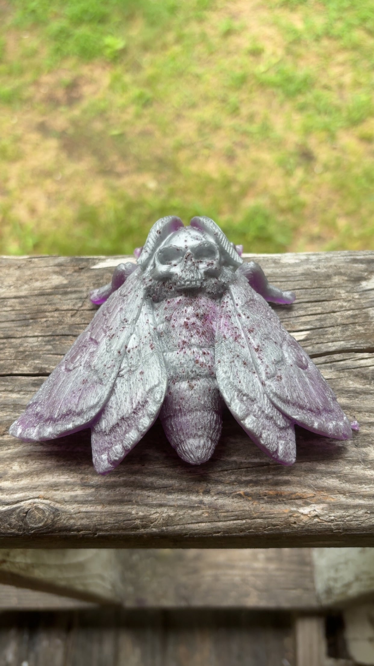 Moth